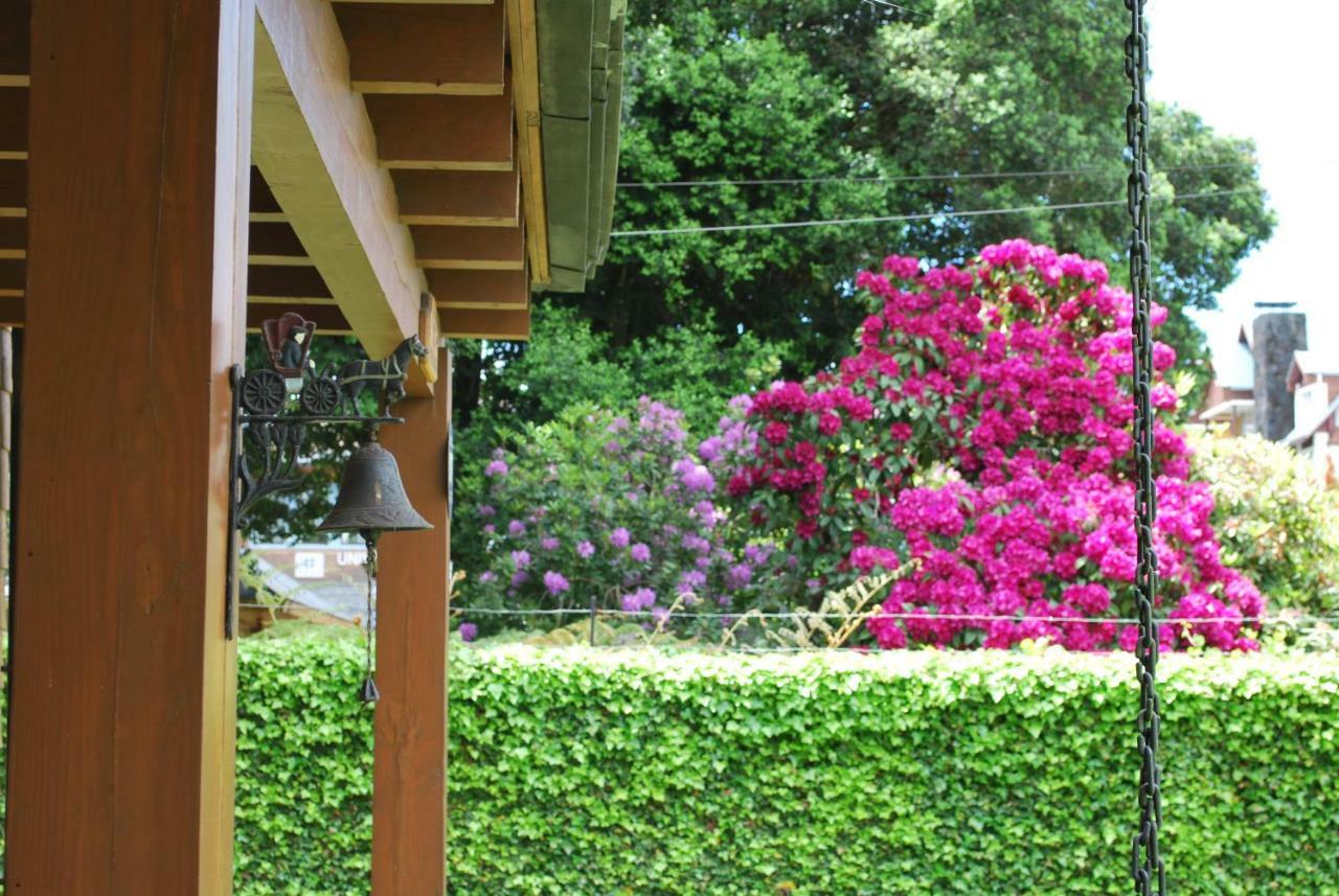Frontera Pucon Hostel B&B المظهر الخارجي الصورة